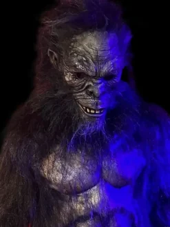 Harry the Primate Costume