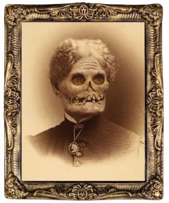 Haunted Hallway Haunted House Props - Package Deal