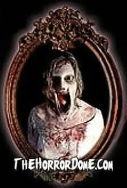 Haunted Mirror - Scary Mary Professional Animated Halloween Decoration