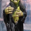 Helga the Witch HD Studios Pro Halloween Costume