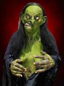 Helga the Witch HD Studios Pro Halloween Costume