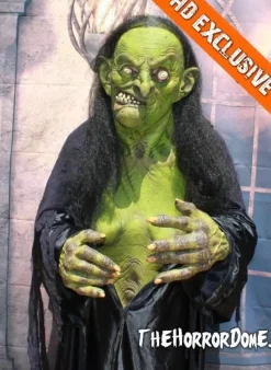 Helga the Witch HD Studios Pro Halloween Costume