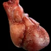 Human Heart Silicone Human Body Part Halloween Prop