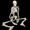 Human Skeleton Movie Quality Halloween Prop