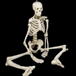 Human Skeleton Movie Quality Halloween Prop
