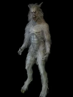 Hybrid Lycan Wolf Halloween Monster Prop