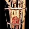 Iron Maiden Torture Halloween Animatronic