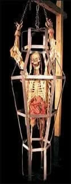 Iron Maiden Torture Halloween Animatronic