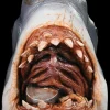 Jaws - Bruce the Shark Mask