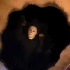 Killer Attic Attack Professional Halloween Animatronic