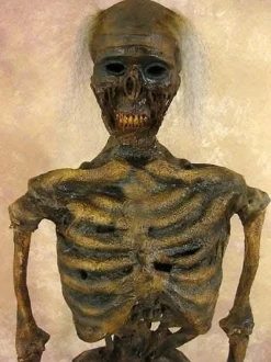Life- Size Rotted Skeleton