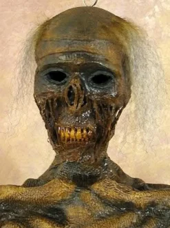 Life- Size Rotted Skeleton