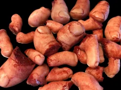 Lot of 20 "Severed Toes" Halloween Prop
