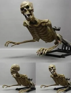 Lunging Peeper Skeleton Halloween Animatronic