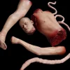 Male Mutilation Combo Halloween Prop