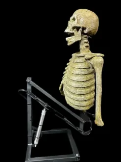 Mini Popper Skeleton Halloween Animatronic