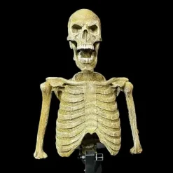 Mini Popper Skeleton Halloween Animatronic