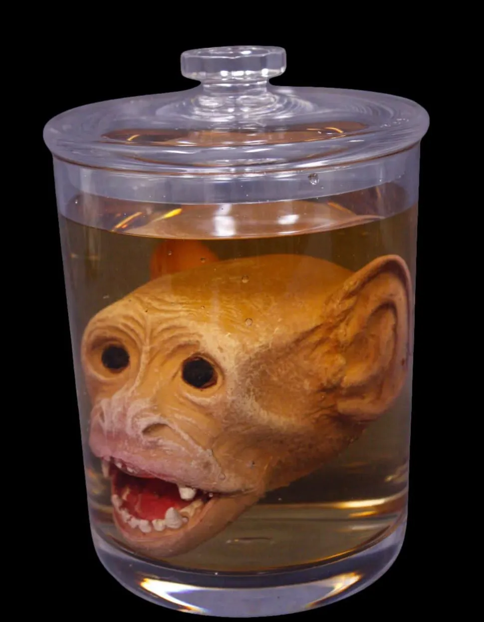 Monkey Head Specimen Jar Halloween Prop