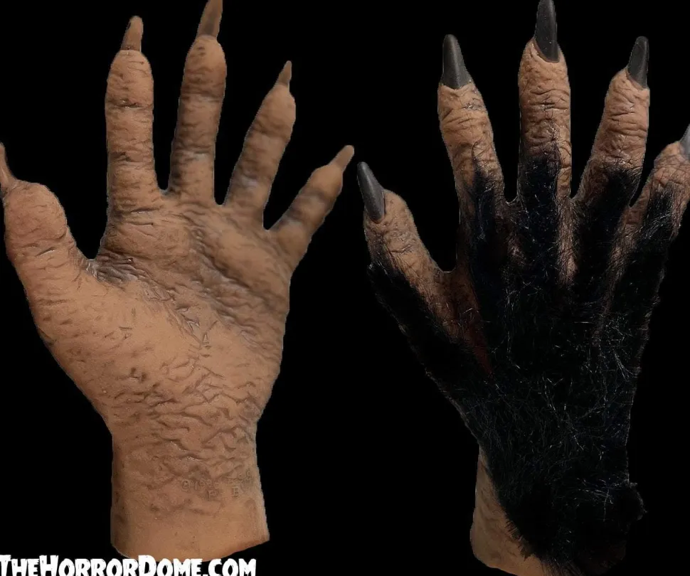 Monster Hands with Black Hair - HD Studios