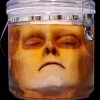 Morgan Face Specimen Jar Halloween Prop