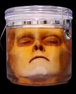 Morgan Face Specimen Jar Halloween Prop