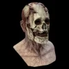 Necromancer Silicone Mask