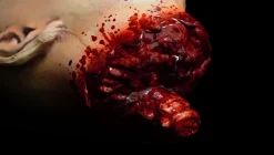 NEW "Decapitated Dana" Severed Head HD Studios Ulta Realistic Halloween Prop