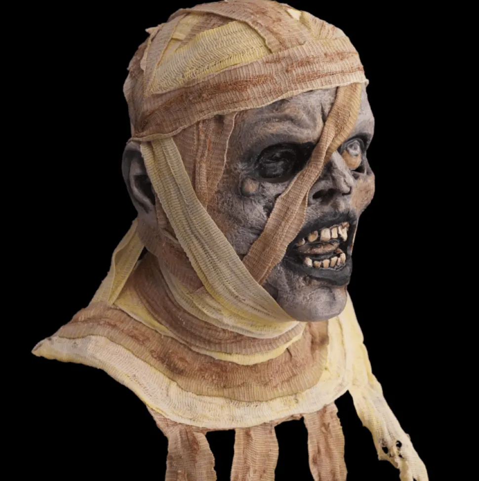 New for 2026 “The Mummy" HD Studios Pro Mask