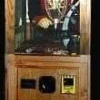 Olde Pirate Animatronic Fortune Teller Machine