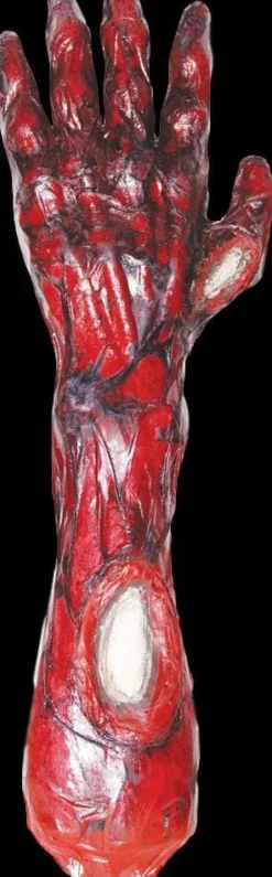Peeled Flesh - Left Arm Human Body Part Halloween Prop