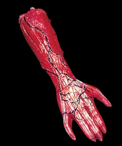 Peeled Flesh - Right Arm Human Body Part Halloween Prop