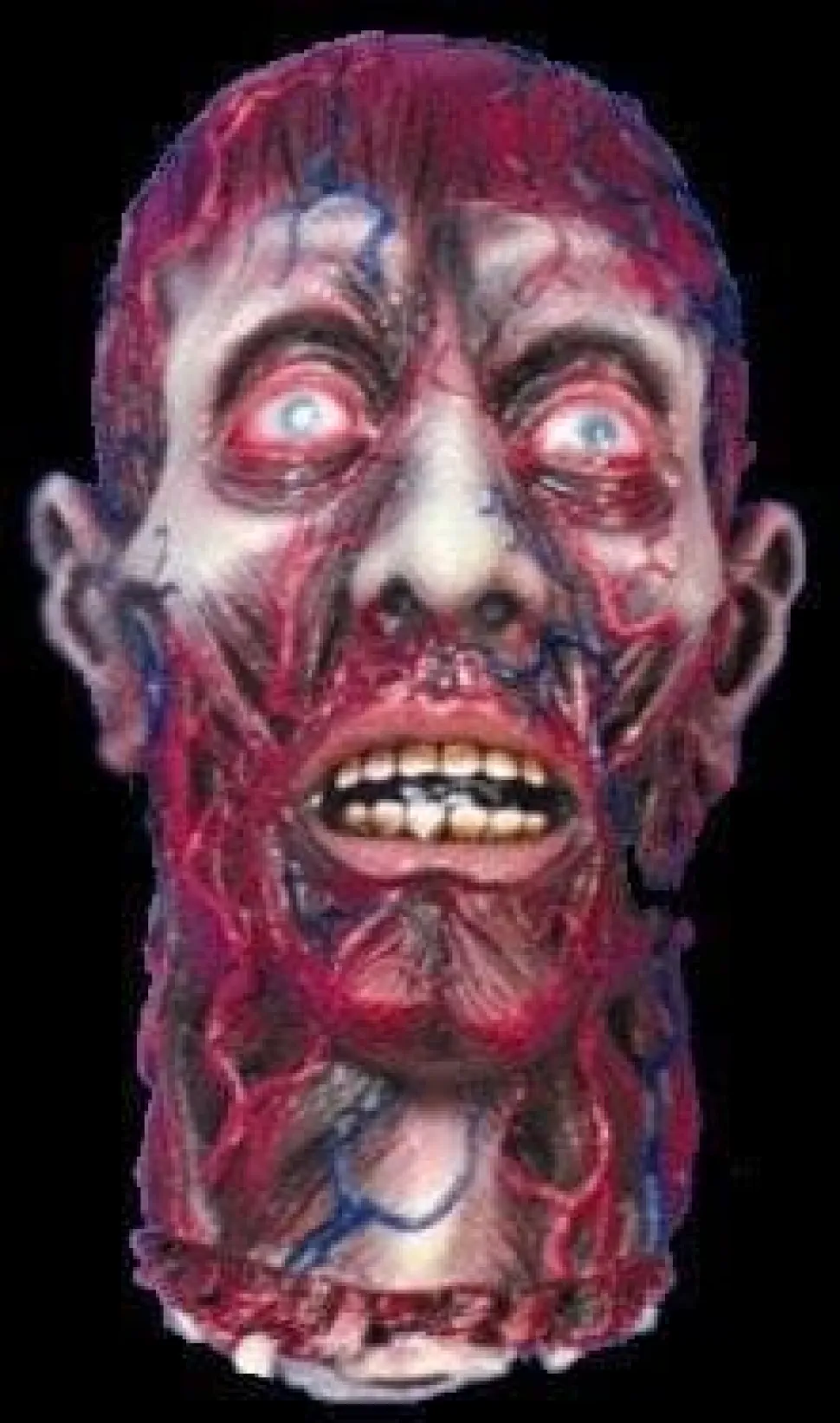 Peeled Flesh Severed Head Halloween Prop