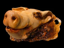 Pig on Tray Halloween Prop