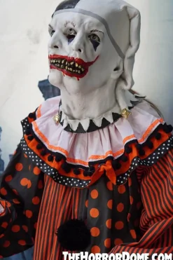Professional Movie Clown Suit in Orange Costume