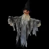 Pumpkin Animated with Hat