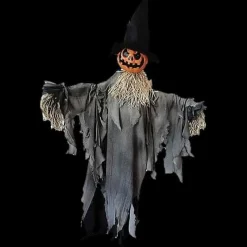 Pumpkin Animated with Hat