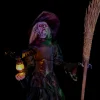 Ravens Revenge Witch Professional Halloween Prop