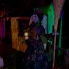 Ravens Revenge Witch Professional Halloween Prop