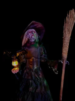 Ravens Revenge Witch Professional Halloween Prop