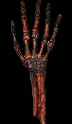 Rotted Hand - Flesh and Bone Human Body Part Halloween Prop
