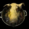Rotten Pig Head in Pot Halloween Prop