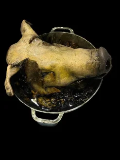 Rotten Pig Head in Pot Halloween Prop