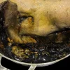 Rotten Pig Head in Pot Halloween Prop