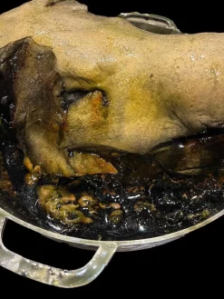 Rotten Pig Head in Pot Halloween Prop