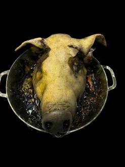 Rotten Pig Head in Pot Halloween Prop