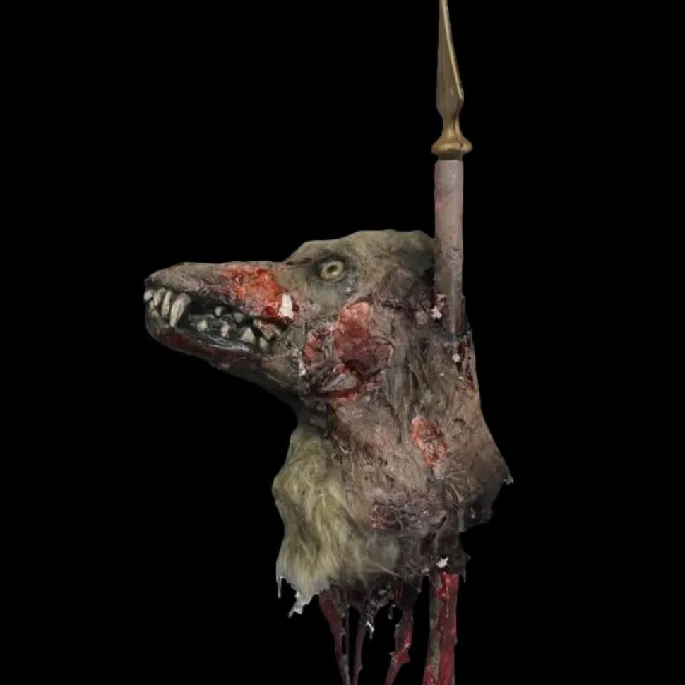 Rotting Coyote Head on Spike