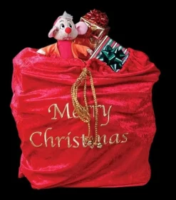Santa Sack Christmas Costume Accessory