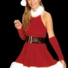 Santa's Inspiration Dress Costume
