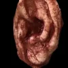 Severed Ear Halloween Prop
