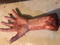 Severed Left Male Hand - Silicone Human Body Part Halloween Prop